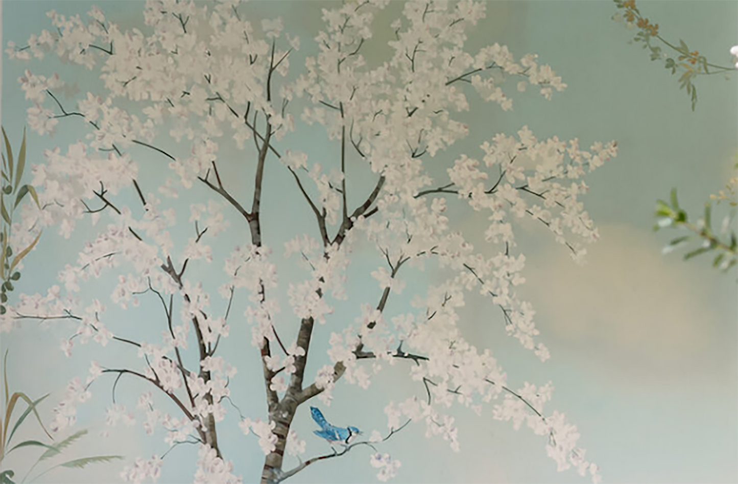 Cherry blossom with blue jay II