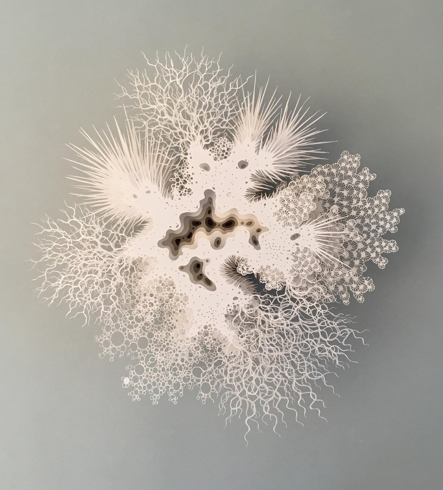 Ghost coral - series I